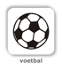 voetbal